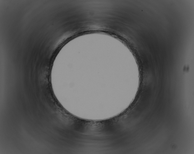 X0000091171314200708301147