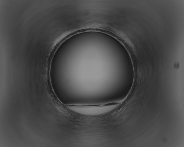 X0000091171316200708301147