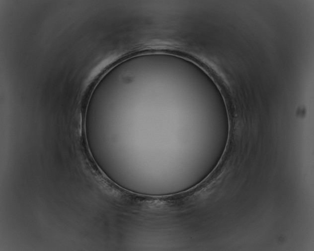 X0000091171317200708301147