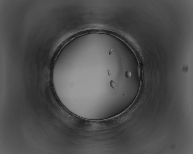 X0000091171318200708301147