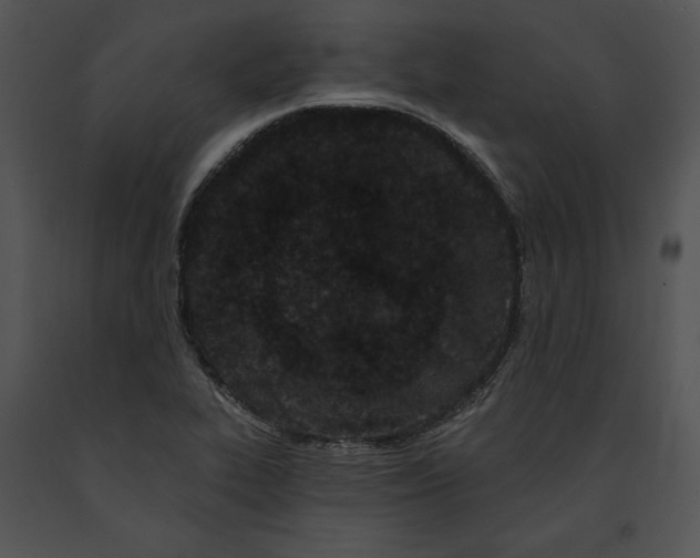 X0000091171319200708301147