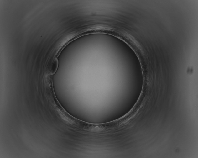 X0000091171321200708301147