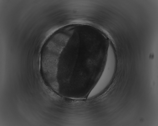 X0000091171323200708301147