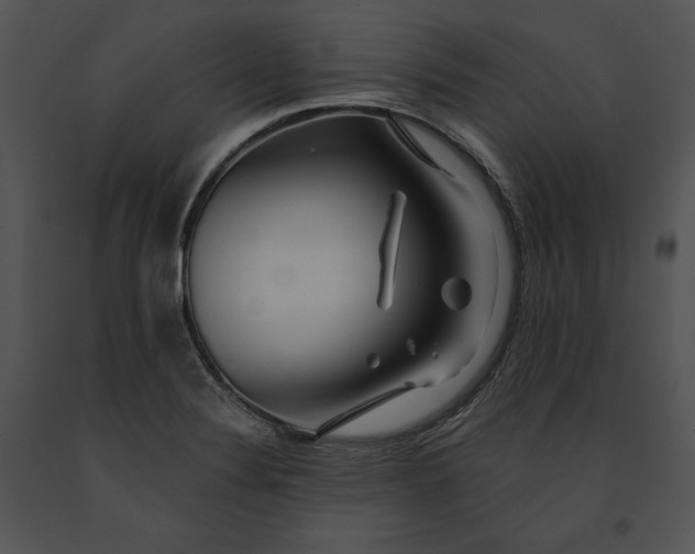 X0000091171324200708301147