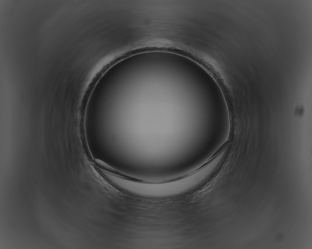 X0000091171326200708301147