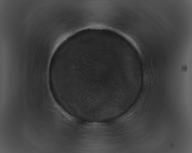 X0000091171327200708301147