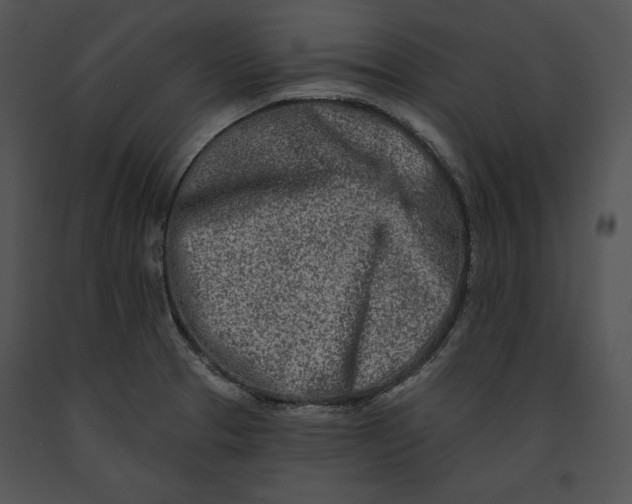 X0000091171329200708301147