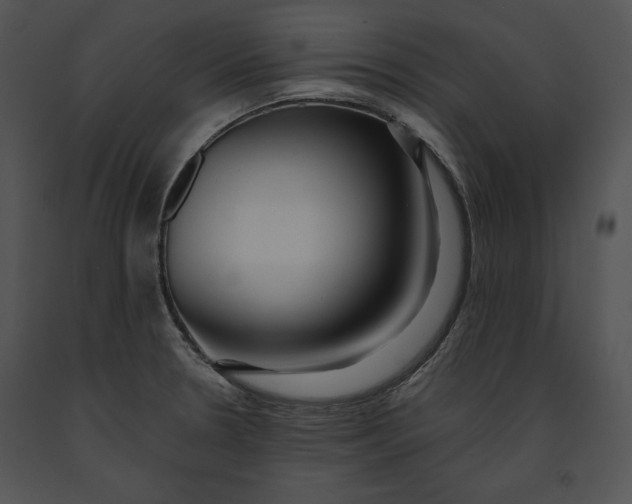 X0000091171330200708301147