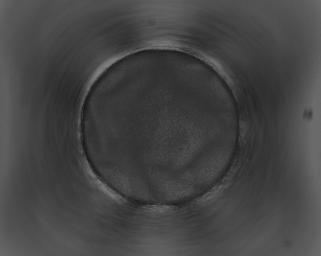 X0000091171331200708301147