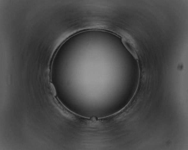 X0000091171332200708301147