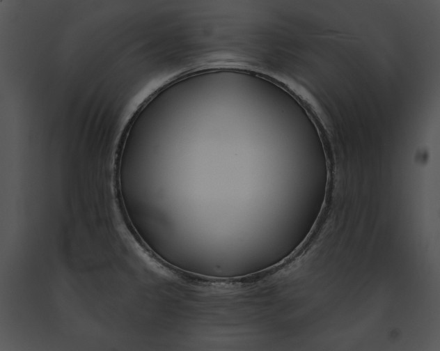 X0000091171333200708301147