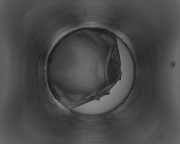 X0000091171334200708301147