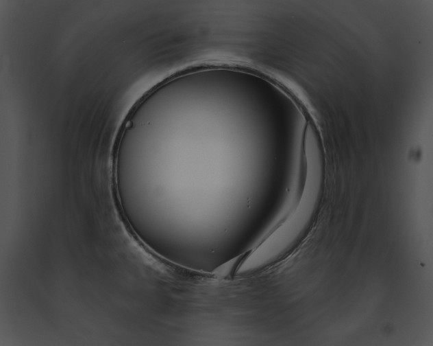 X0000091171335200708301147