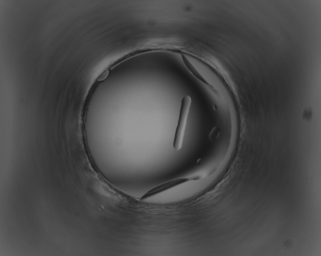 X0000091171336200708301147