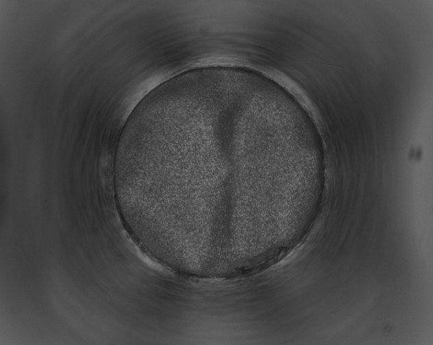 X0000091171337200708301147