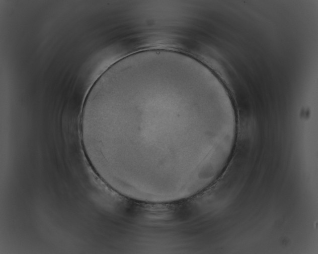 X0000091171338200708301147