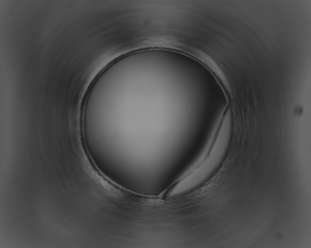 X0000091171339200708301147