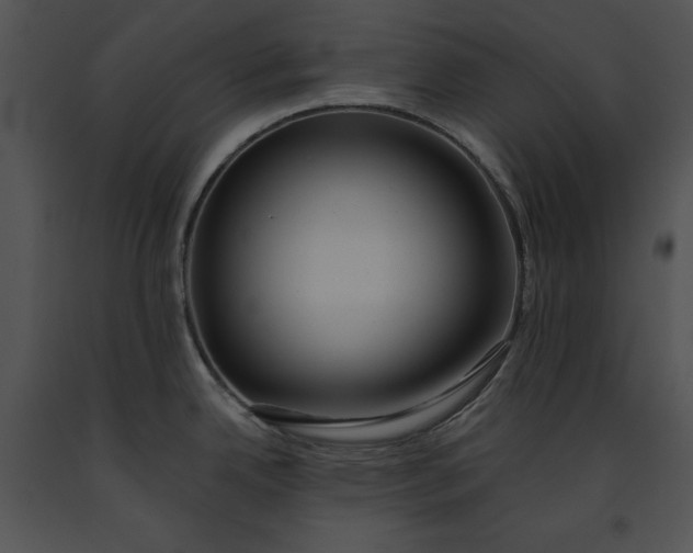 X0000091171342200708301147