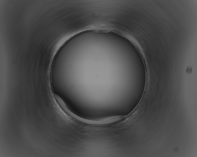 X0000091171344200708301147