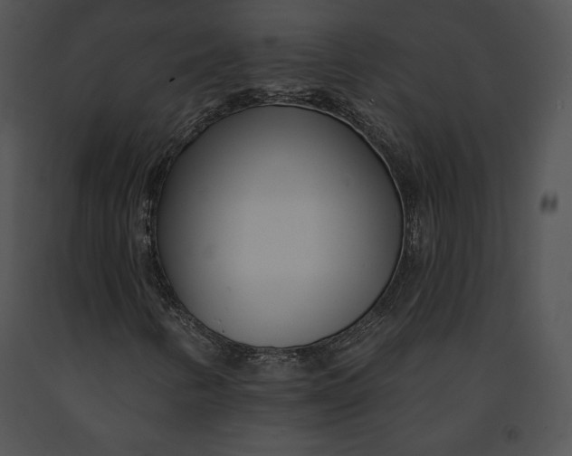 X0000091171346200708301147