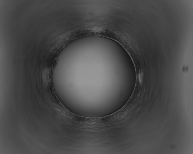 X0000091171347200708301147