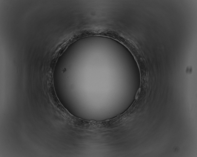 X0000091171349200708301147