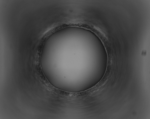 X0000091171350200708301147