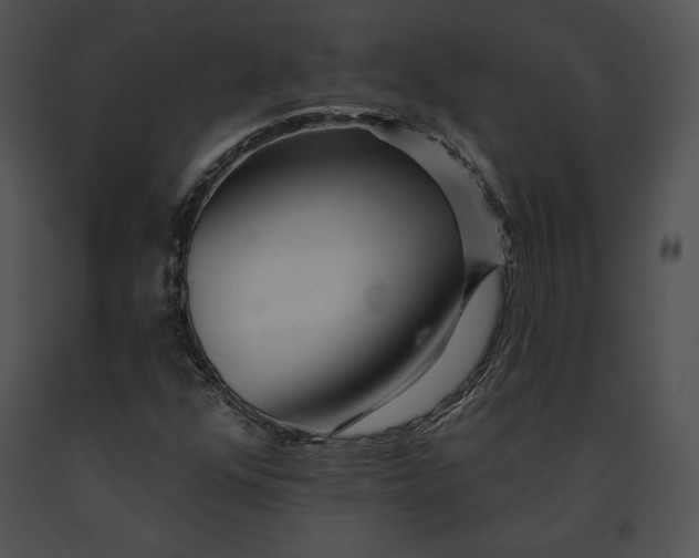 X0000091171352200708301147