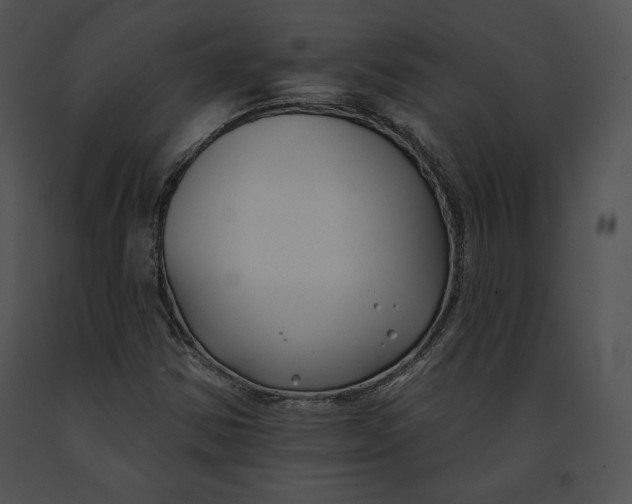 X0000091171354200708301147