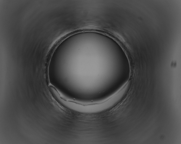 X0000091171356200708301147