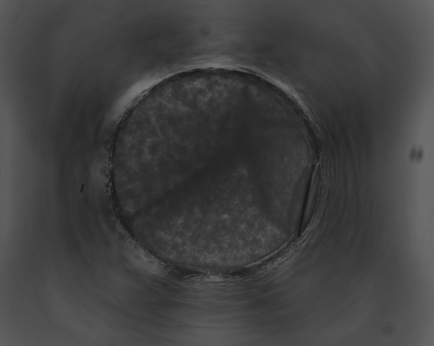 X0000091171359200708301147