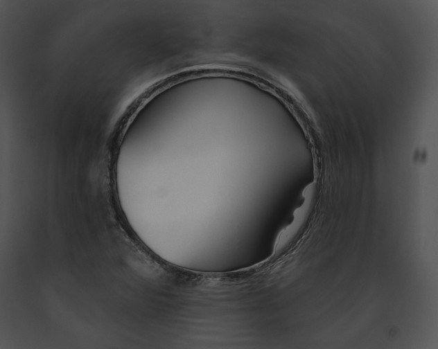 X0000091171360200708301147