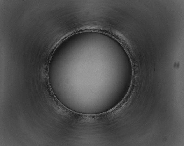 X0000091171361200708301147