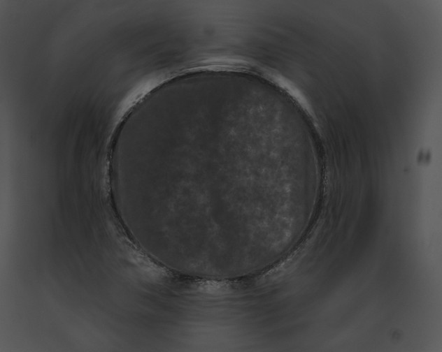 X0000091171362200708301147