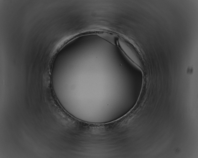 X0000091171363200708301147