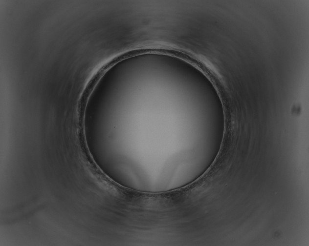 X0000091171364200708301147