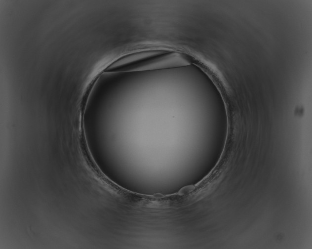 X0000091171365200708301147