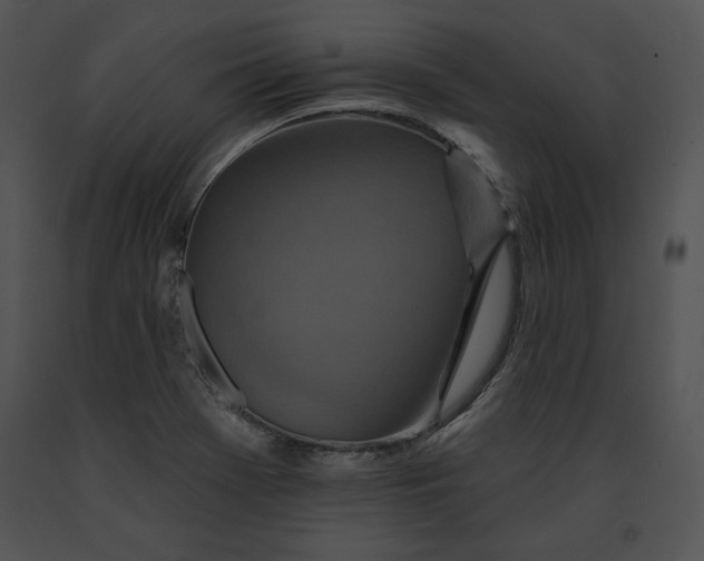 X0000091171369200708301147