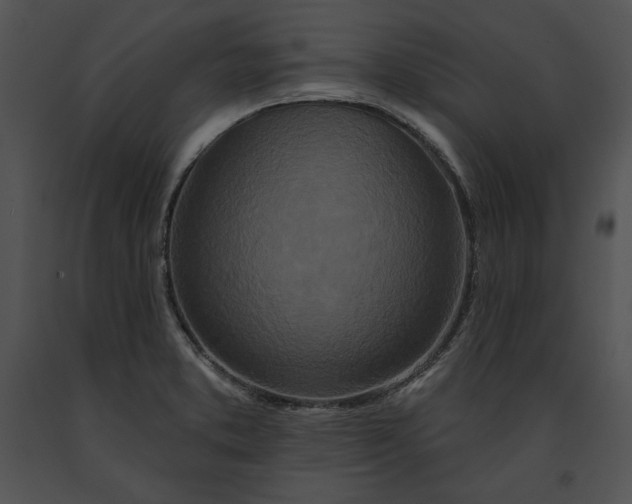 X0000091171373200708301147