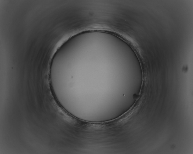 X0000091171374200708301147