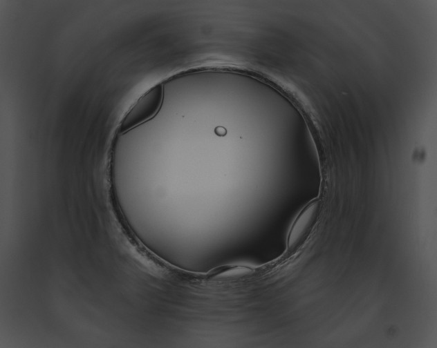 X0000091171375200708301147