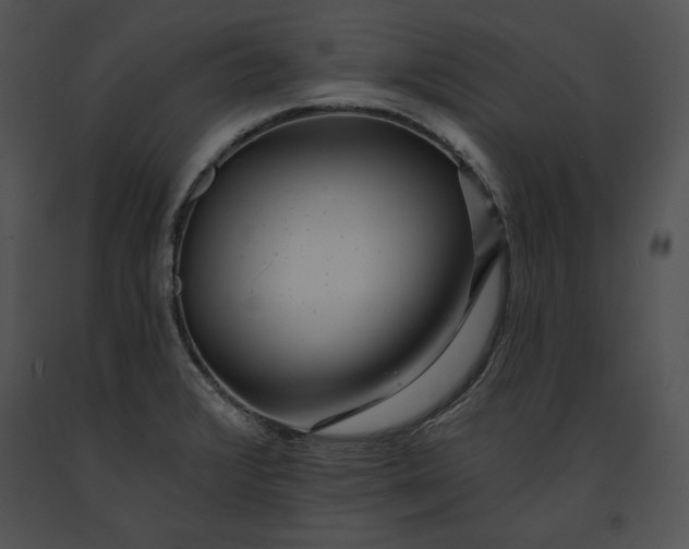 X0000091171376200708301147