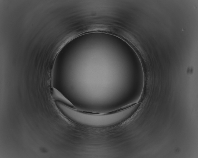 X0000091171377200708301147