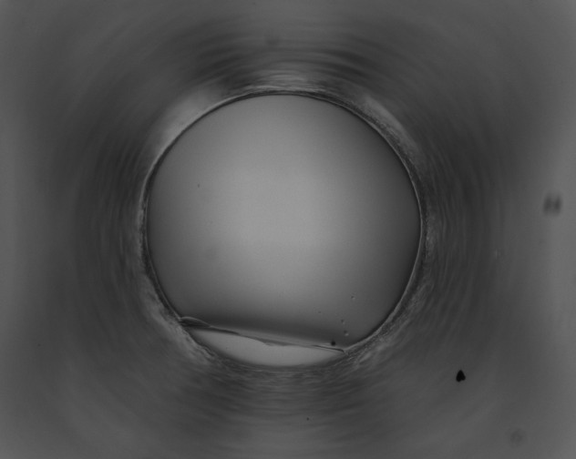 X0000091171378200708301146