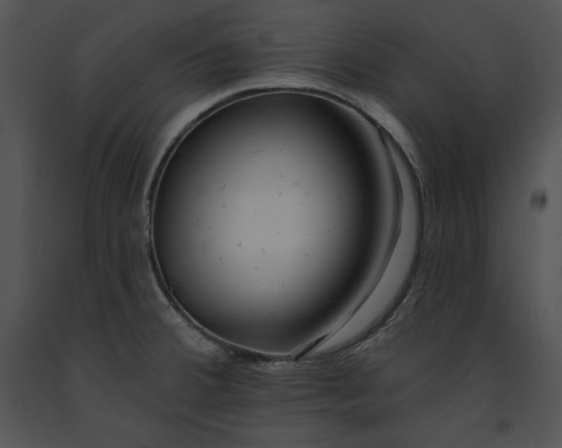 X0000091171380200708301146