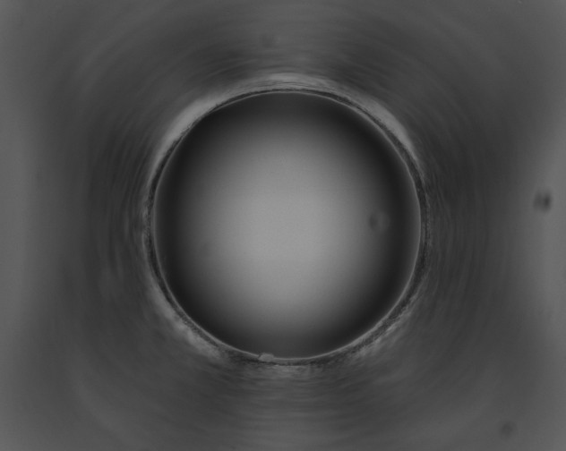 X0000091171381200708301146