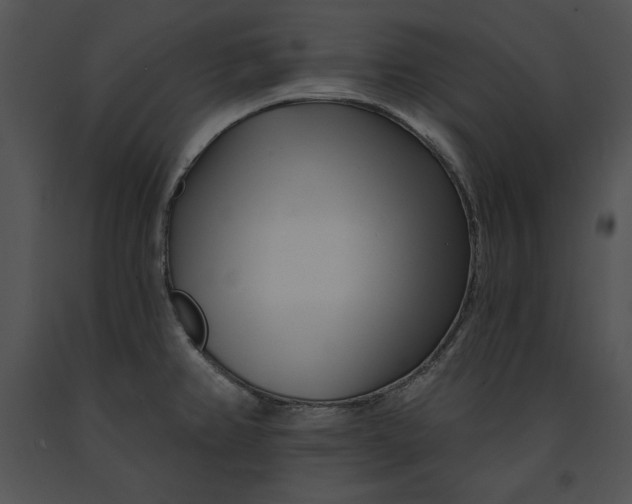 X0000091171382200708301146