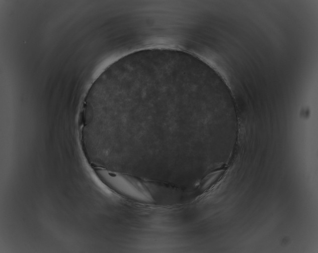 X0000091171383200708301146