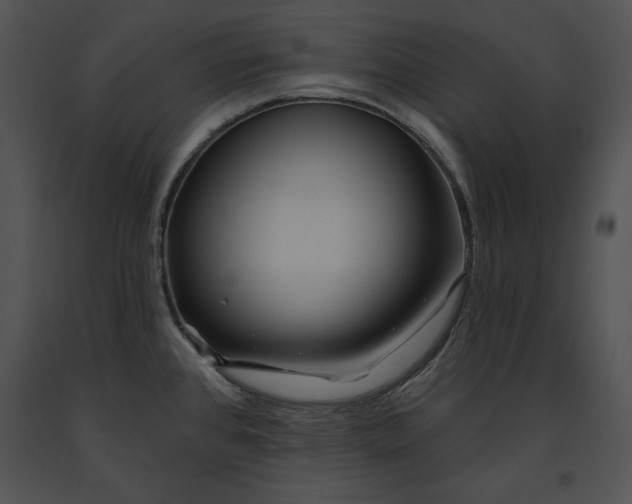 X0000091171384200708301146