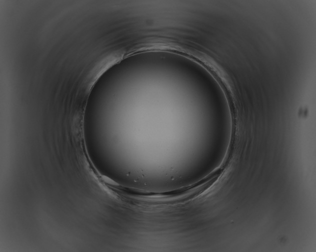 X0000091171385200708301146